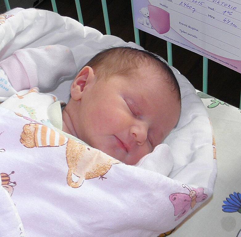 Viktorie Dvořáková se narodila 7. prosince paní Kamile Juránkové z Karviné. Po porodu miminko vážilo 2740 g a měřilo 47 cm.
