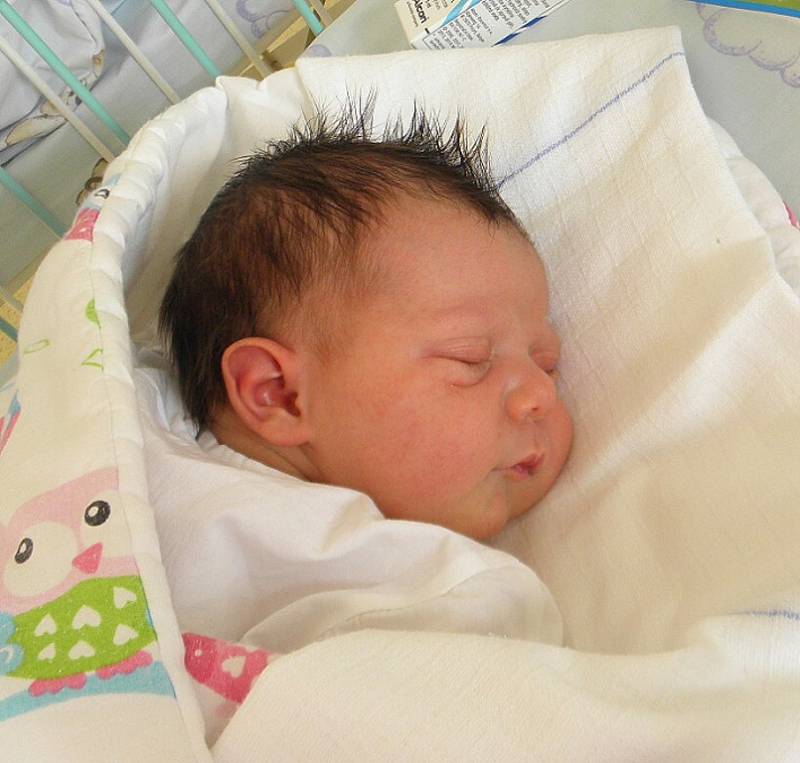 Dominik Miterko se narodil 15. března mamince Karolíně Miterkové z Karviné. Porodní váha dítěte bya 4020 g a míra 52 cm.