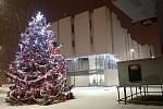 Vánoční strom u kina Centrum taktéž v Karviné - reprezentativní vzrostlý stříbrný smrk pichlavý výšky 21 metrů z Paskova byl zkrácen na cca 15 metrů.