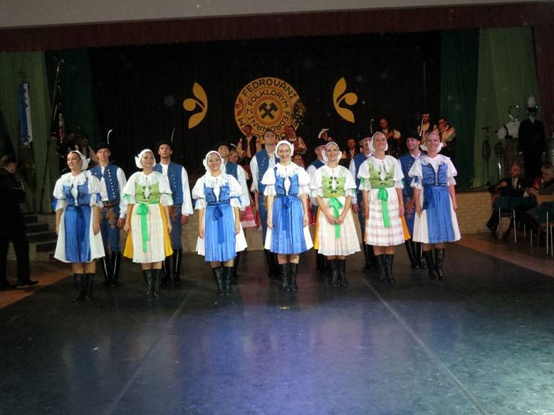 Více než čtyřhodinový maratón plný tance, zpěvu, hudby a také veselých scének. Tak vypadala velkolepá večerní mezinárodní folklorní slavnost ve zcela zaplněném sále Dělnického domu v Horní Suché.