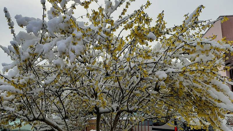 Sněhová nadílka den po Velikonocích v Karviné, 6. dubna 2021.