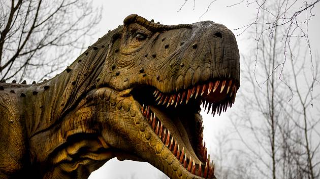DinoPark u Ostravy se po zimě otevřel veřejnosti.