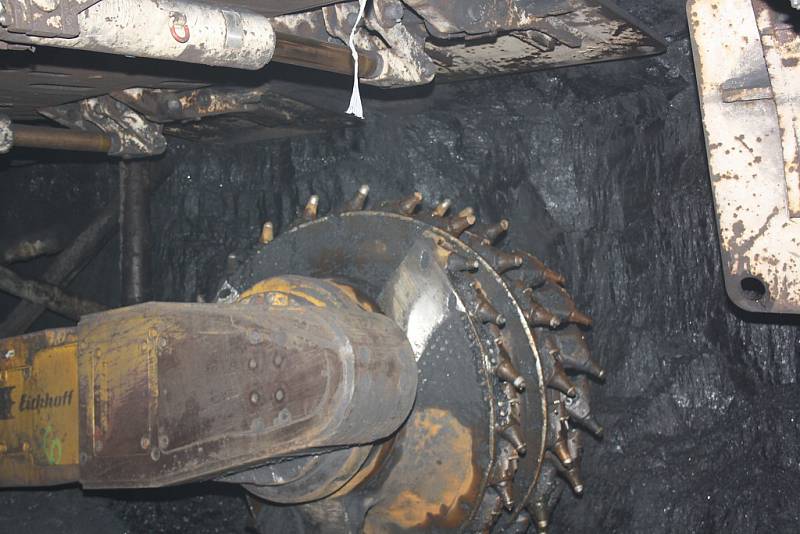 Důlní kombajn odebírá uhlí podle mocnosti uhelné žíly. Výška může být i několik metrů. 
