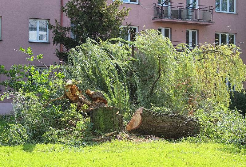 Silný noční vítr z neděle na pondělí zlomil několik vzrostlých stromů v karvinských  ulicích.