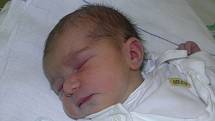Druhá dcerka Adélka se narodila 10. června mamince Taťáně Paloncové z Doubravy. Po narození holčička vážila 2870 g a měřila 49 cm.