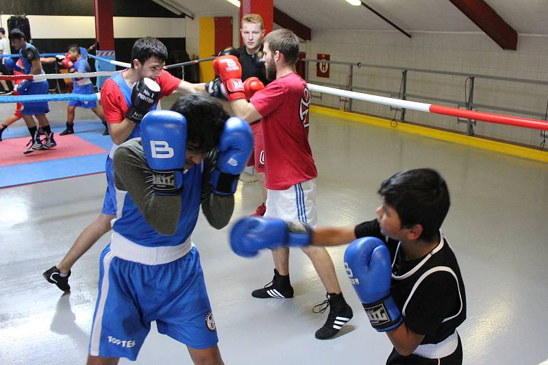 Trénink mladých havířovských boxerů.