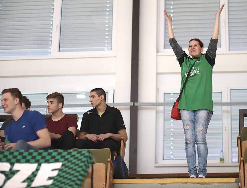 Házenkáři Karviné (v zeleném) si poradili s Jičínem i napodruhé.