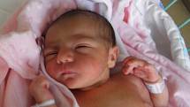 Adélka se narodila 8. července paní Marcele Pechové z Bohumína. Po porodu miminko vážilo 3000 g a měřilo 47 cm.