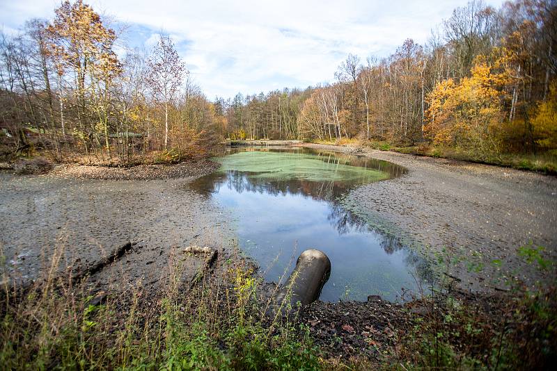 Výlov rybníka v ZOO Ostrava, 16. listopadu 2019 v Ostravě.