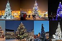 Koláž, vánoční stromky, Karvinsko, rok 2023.