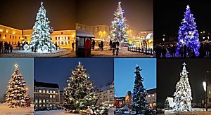 Koláž, vánoční stromky, Karvinsko, rok 2023.