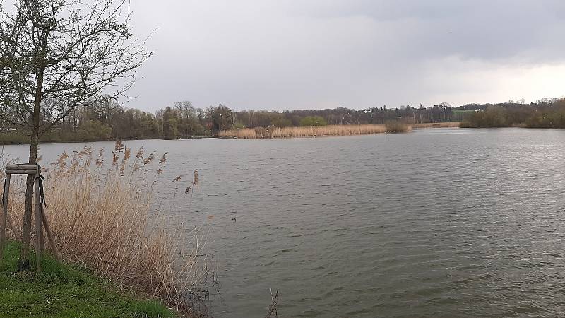 Rychvald. Rybník Skučák, přírodní rezervace.