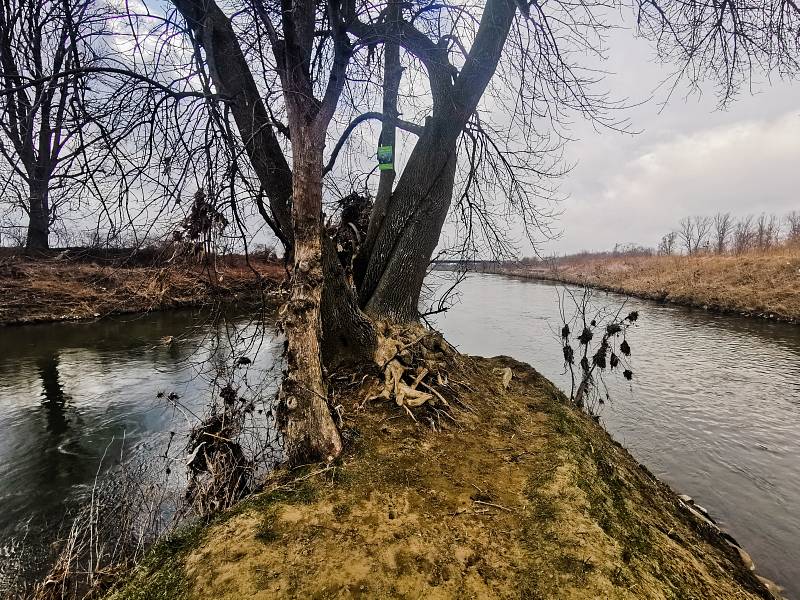 Soutok řek Odry a Olše v Bohumíně-Kopytově.