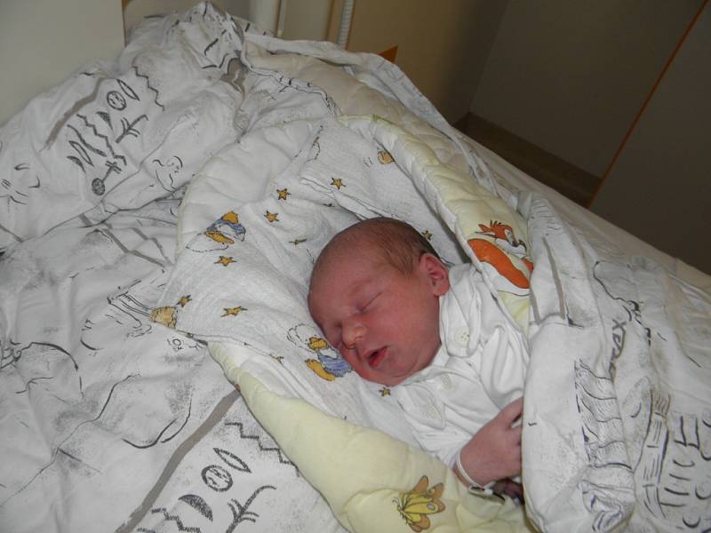 Michalek se narodil 10.prosince paní Evě Vilémové z Karviné. Porodní váha chlapečka byla 3380 g a míra 49 cm.
