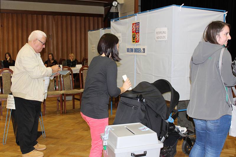 Volby do Poslanecké sněmovny Parlamentu ČR v Havířově.