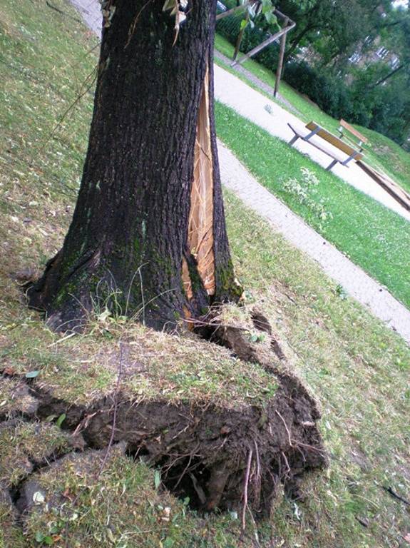 Následky větrné smrště v karvinské Závodní ulici.