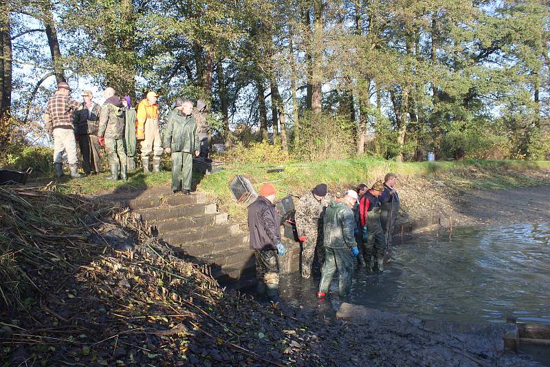 Výlov rybníka Radecký v Petrovicích-Dolních Marklovicích, 24. října 2021.