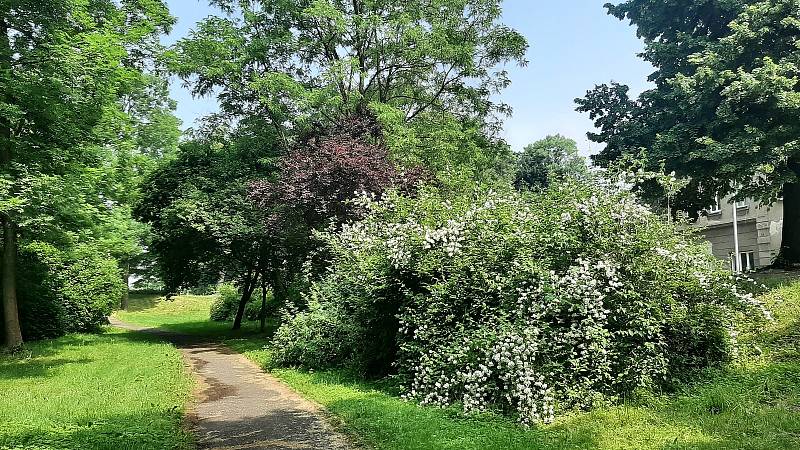 Orlová-Město. Park.