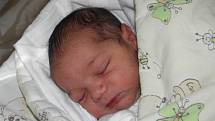 Paní Marii Sedlářové z Karviné se 10. února narodil syn Ernest Sedlář. Po porodu dítě vážilo 3280 g a měřilo 49 cm.