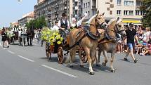 Havířov v květech 2018.