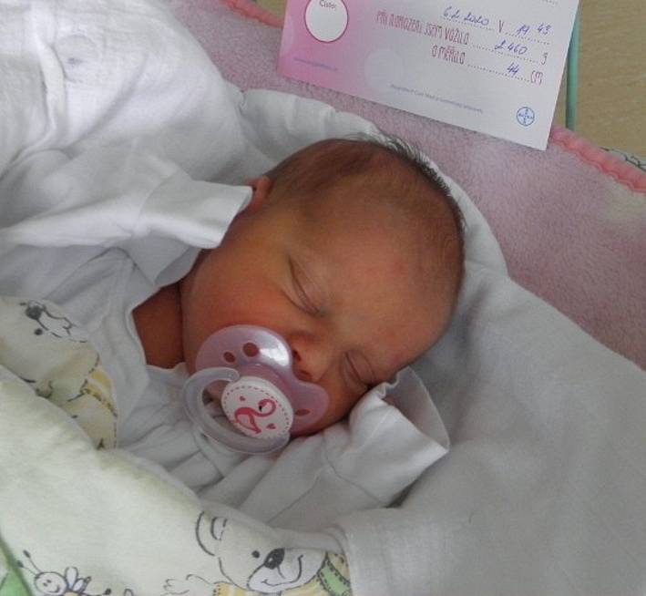 Sofie Ščuková se narodila 6. února paní Martině Ščukové z Bohumína. Po porodu holčička vážila 2460 g a měřila 44 cm.
