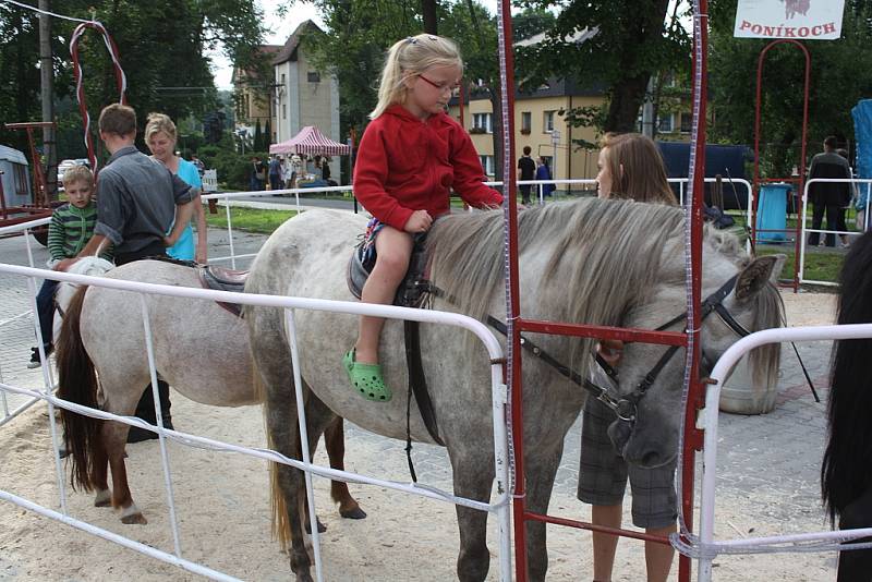 Stovky lidí přivítala v sobotu odpoledne do Stonavy tradiční pouť. Kromě klasických kolotočů a dalších pouťových atrakcí byl v parku místního PZKOpřipraven program pro děti, proběhl také již 4. ročník soutěže v kosení trávy, kterého se zúčastnilo deset od