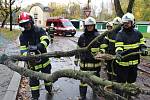 Vyvrácený strom v ulici U Stromovky rozřezali dobrovolní hasiči.