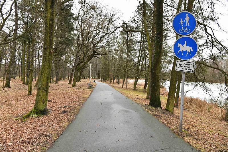 V zámeckém parku v Karviné se kácí staré stromy a dřeviny. V létě začne odbahňování.