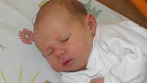 Mikulášek Pala se narodil 22. února mamince Radce Palové z Karviné. Po narození chlapeček vážil 3170 g a měřil 49 cm.
