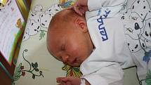 Viktorie Gebauerová se narodila 12. září mamince Michaele Tichákové z Karviné. Po narození holčička vážila 3 370 g a měřila 48 cm. 
