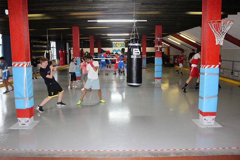 Trénink mladých havířovských boxerů.