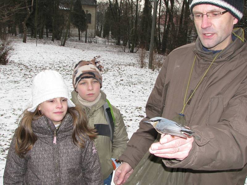 Mladí ochránci zvířat kroužkovali ptáky odchycené do sítí. 