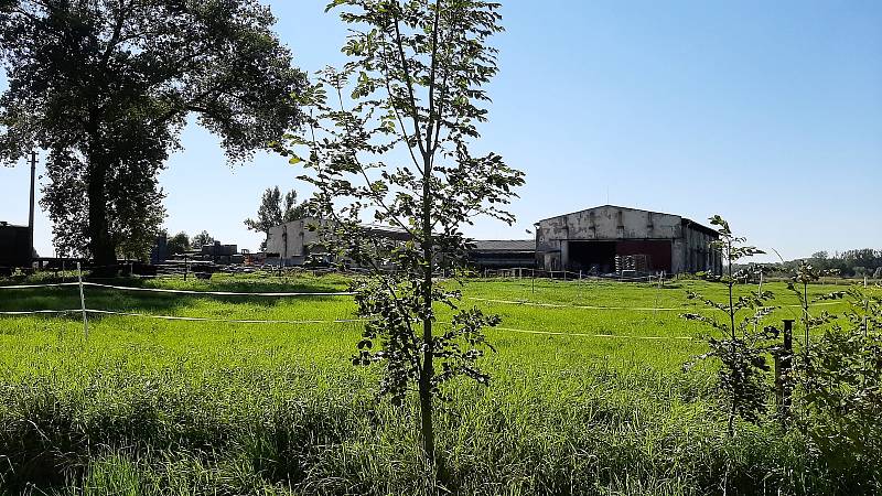 Bohumín-Šunychl. Klidná městská část, kde se rozkládá i Kališovo jezero, centrum letní příměstské rekreace.