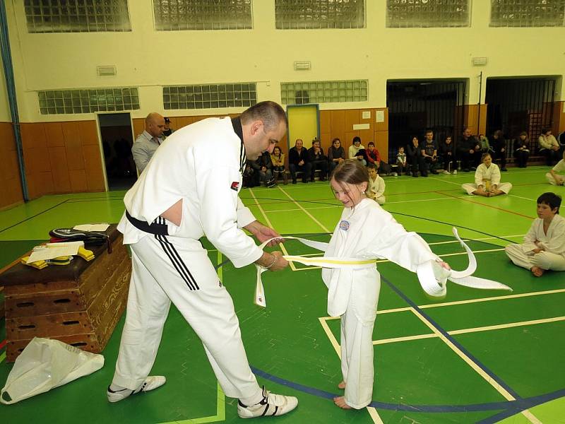 Mladí vyznavači korejského bojového sportu Taekwondo v sobotu 23. února v podvečer předvedli svou technickou vyspělost před zkušebním komisařem Mozamelem Hamidi z Ostravy.