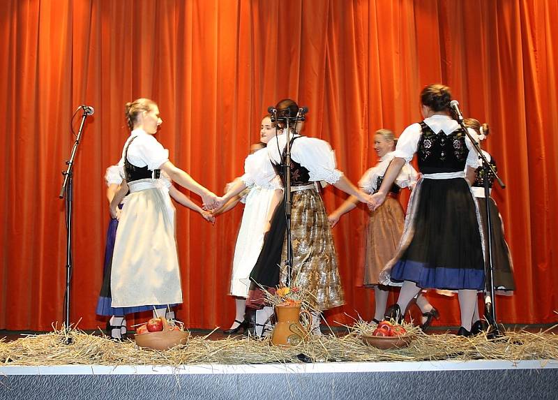 V sobotu se v Domě PZKO ve Stonavě konal jubilejní koncert folklorního soubor Děcka ze Stonavy. Program organizátoři připravili jako slezskou svatbu a do představení tak zapojilo celkem 60 lidí.  