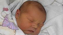 Eliška se narodila 11. listopadu mamince Zdeňce Svrčkové z Karviné. Po porodu holčička vážila 3970 g a měřila 51 cm.