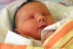 Druhorozená dcerka Sofie Nováková se narodila 29. ledna paní Martě Novákové z Karviné. Po porodu holčička vážila 4420 g a měřila 52 cm. Sestřička Natálka se na miminko moc těší.