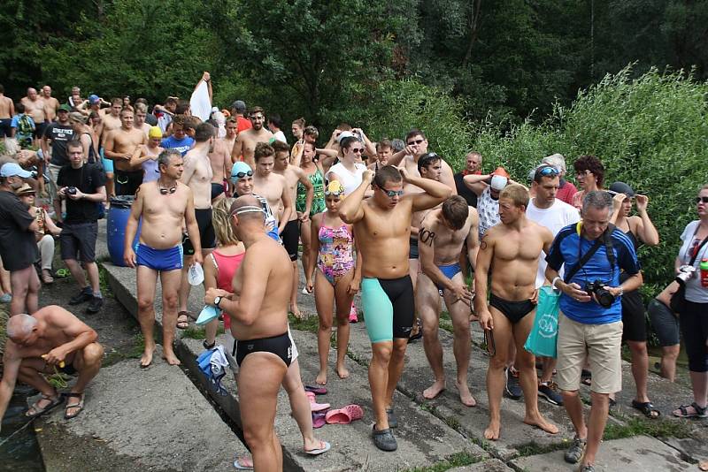 Závod v dálkovém plavání na Těrlické přehradě. 