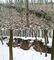 Zvětšující se trhlina v doubravském lese v březnu 2017 (nahoře) a v únoru letošního roku.