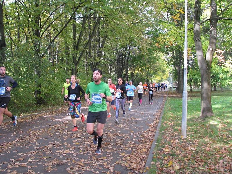 Havířovská desítka 2016 - běh na 10 kilometrů. 