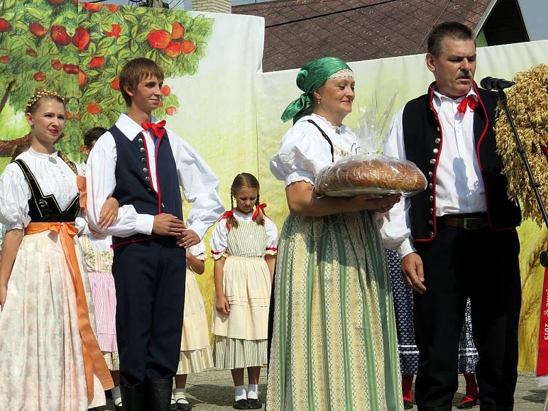 Slezské dožínky v Havířově-Bludovicích. 