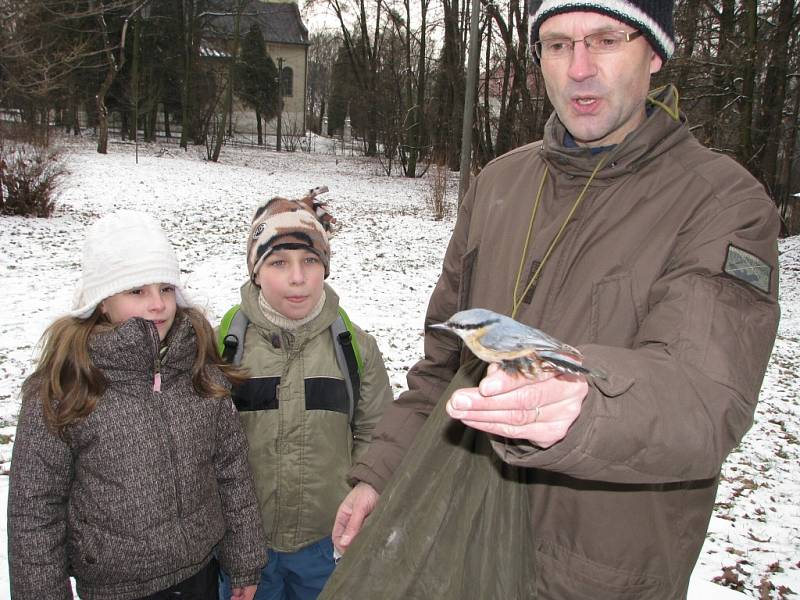 Mladí ochránci zvířat kroužkovali ptáky odchycené do sítí. 