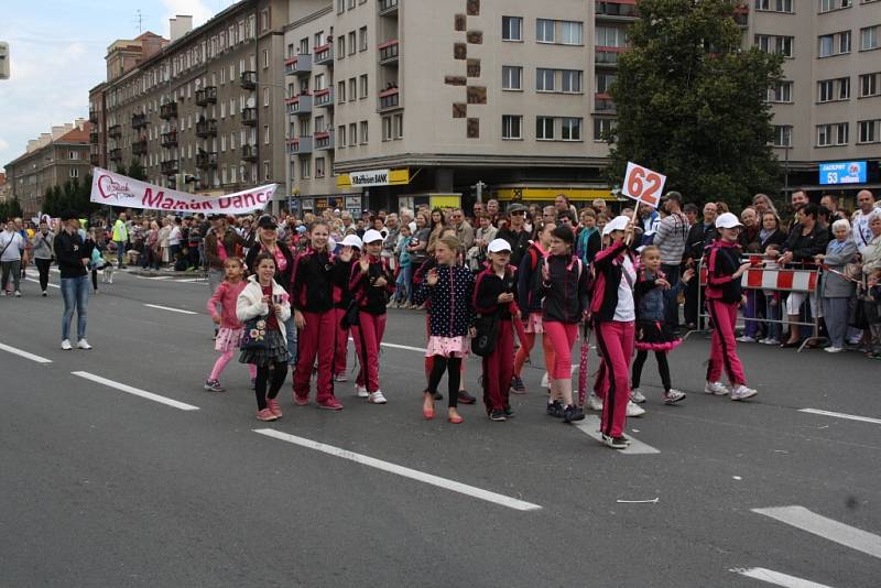 Havířov v květech. 