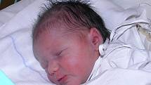 Nikol Karasová je první miminko paní Anny Sosnové z Orlové. Narodila se 3. prosince a po porodu holčička vážila 2900 g a měřila 48 cm.