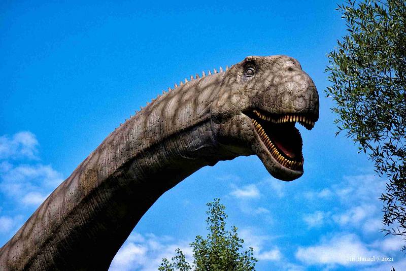 Dinopark v Doubravě nabízí procházku mezi modely pravěkých dinosaurů v životních velikostech.