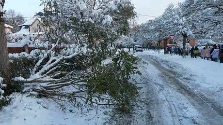 Sníh posune termín otevření Lidické ulice, podepsal se i na stavu stromů.