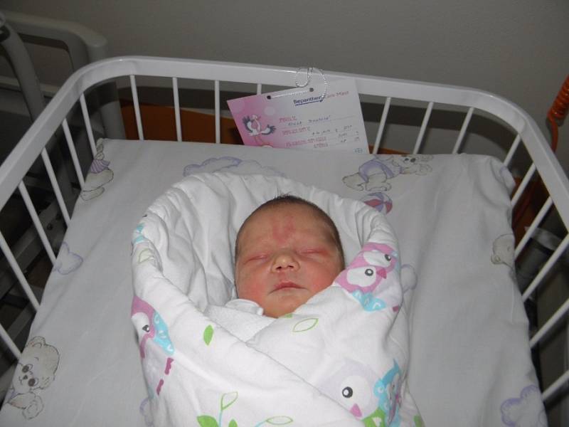 Adelka Bigasová se narodila 4. října paní Janě Špačkové z Karviné. Po porodu miminko vážilo 3080 g a měřilo 48 cm.