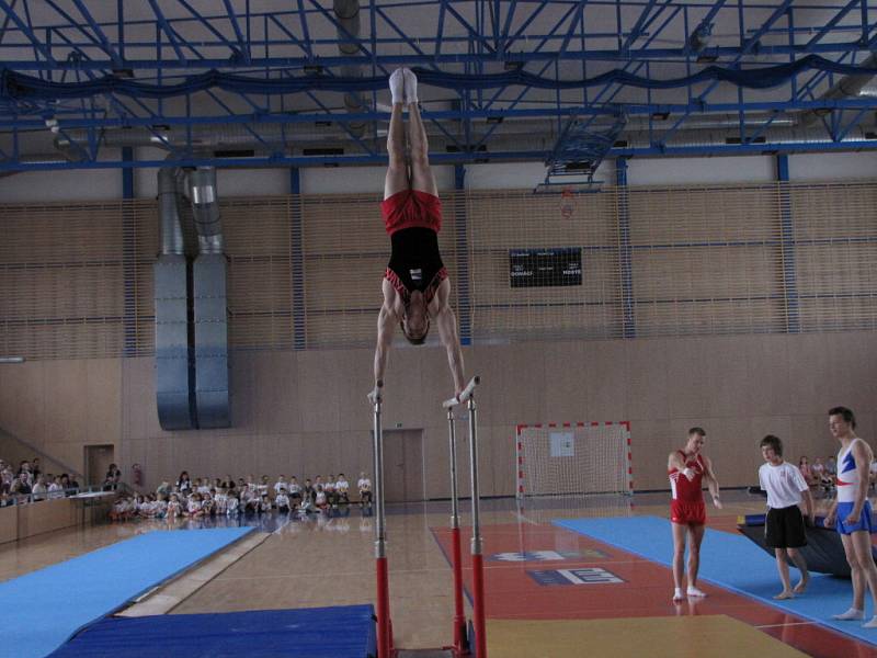 Ve Sportovní hale Žákovská se konalo cvičení dětí pro rodiče s účastí úspěšných atletů. 