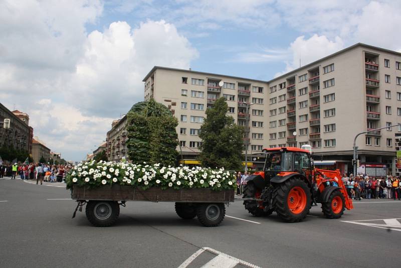 Květinové korzo slavnosti Havířov v květech 2015. 