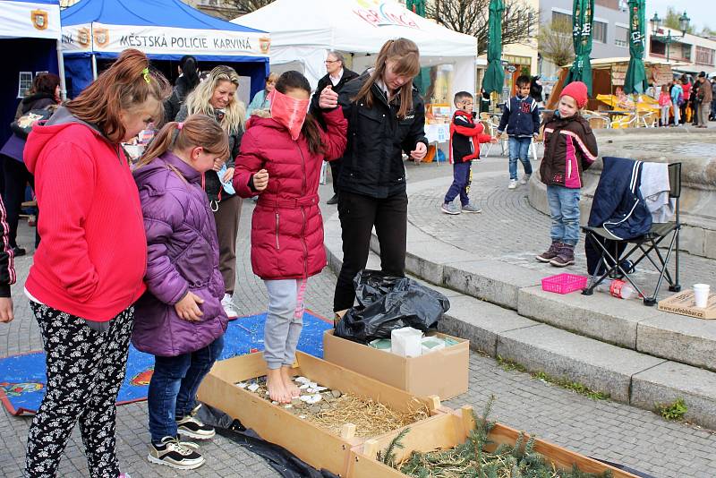 Den země v Karviné přinesl zábavné hry i řadu poučných informací.